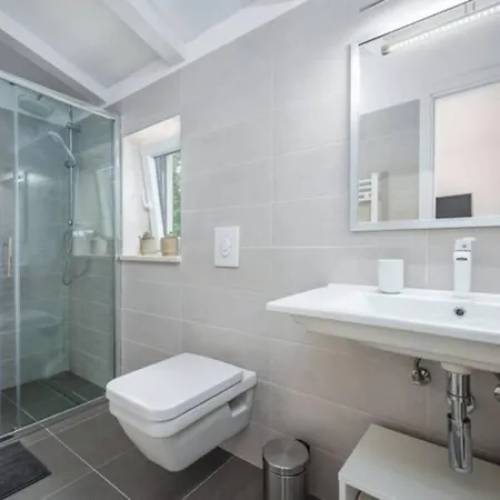 Vila Parizi Villa Pazin